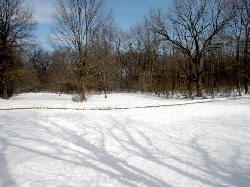 Snow Path